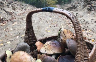 Monti Domki całoroczne - Foto 7