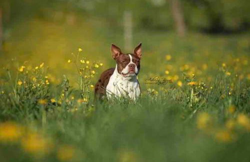 Ferien auf dem Eliesenhof - Foto 17