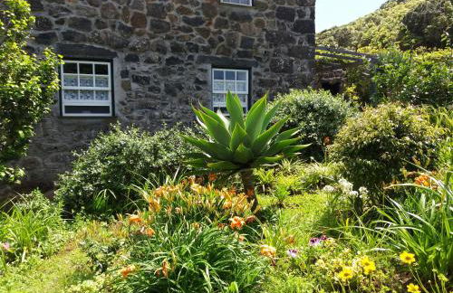 Quinta dos Frutos - Foto 55