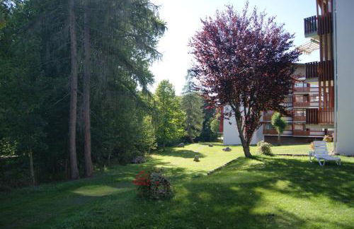 Ferienwohnung Schwarzwaldlust - Foto 27