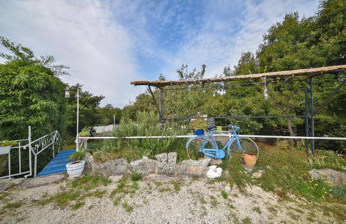 Apartment Okreti 2364 - Photo 5