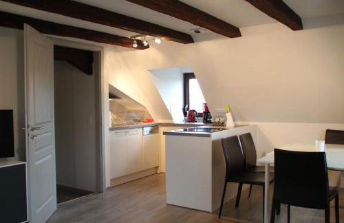 A L'ill - Apparts & Studios Strasbourg Hyper Centre - Foto 14