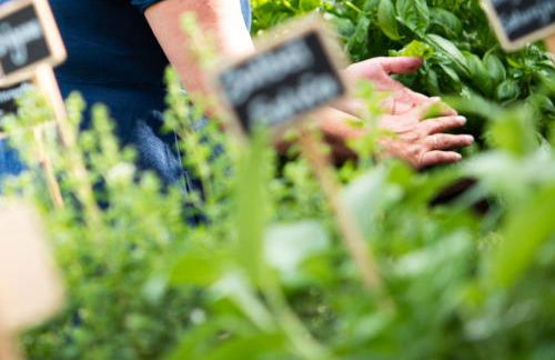 Weingut Schmid Oberrautner Apartment Suites - Foto 33