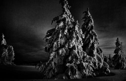 HAUS AM SEE - Natur Pur - Foto 71