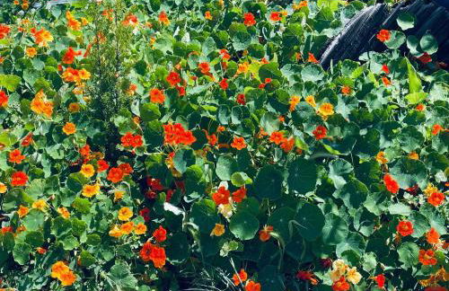 Phaedra House For Relaxing Holidays Near Platanias - Foto 84