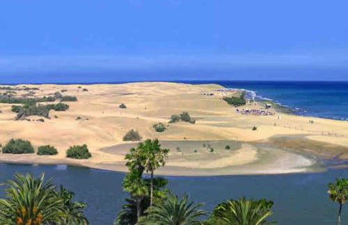 Luminoso y acogedor - Foto 12