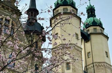 kitchenroombed - Top City-Lage I nahe Hbf I Aufzug I Tiefgarage I Terrasse I Business - Travel - Family - Foto 47