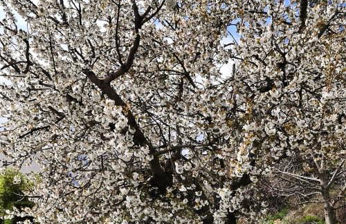 Casa Rural La Milagrosa - Photo 22