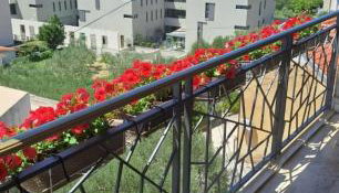 Apartments Villa Toma - Foto 3