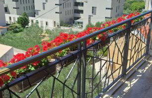 Apartments Villa Toma - Foto 3