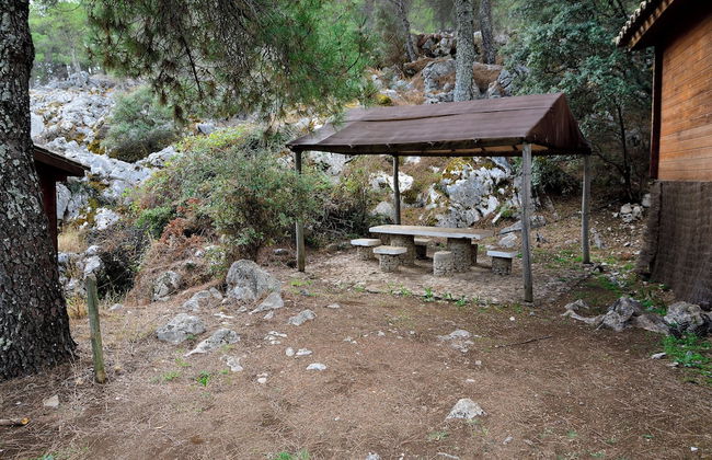 Camping Tajo Rodillo - Foto 19