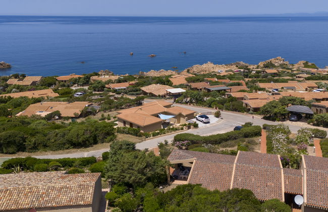 Corbezzolo - Foto 23