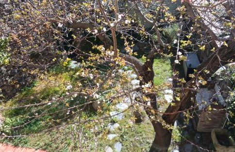 Casa Sissi - Foto 38