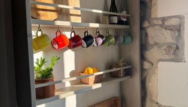 Domaine la Boulinière - Le Faisan - Foto 4