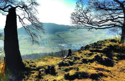 Ferienwohnung am Felsenkeller - Photo 14