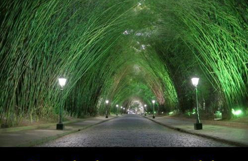 Pedra Do Imperador - Foto 18