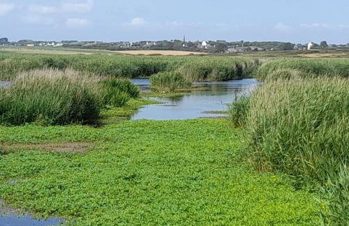 Maison An Ty Göal - Foto 16