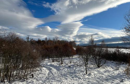 Polana Gorska Mirsk - Photo 41