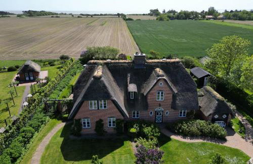 Ferienhaus Friesenrose - Foto 2