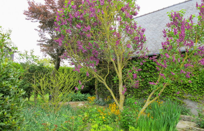 La Longère - Foto 16