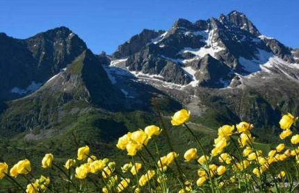 Calicanto Home - Foto 28