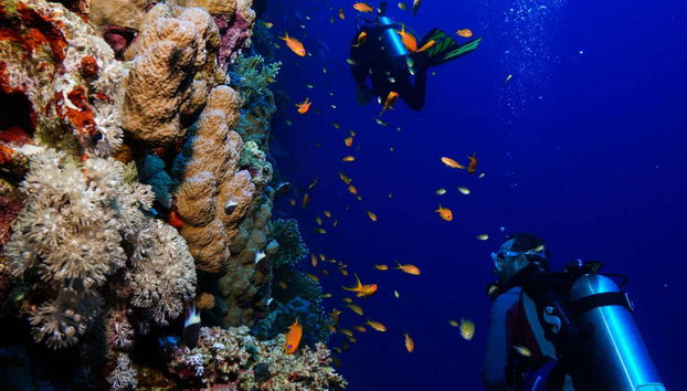 Você está pronto para mergulhar?