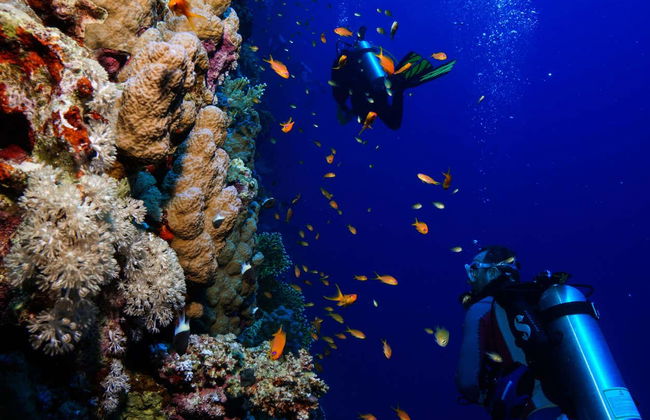 Scuba Diving in Khasab - Photo 1