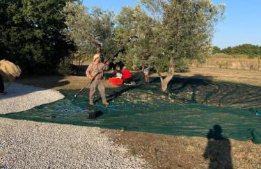 Podere Campo alle Serpi - Foto 54