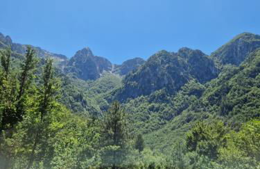 GUFO VERDE - Photo 40