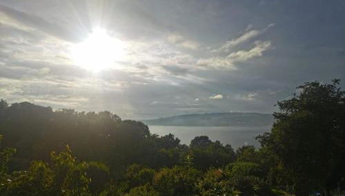 Primero Seixo antiguo - Foto 3