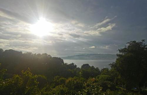 Primero Seixo antiguo - Foto 3