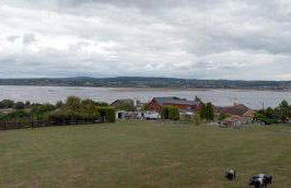 Violet Mays Retreat - Photo 4