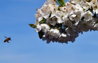 Casa Galoppa - Foto 46