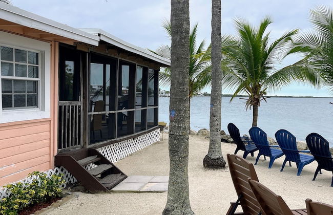 Kings Kamp - Foto 69