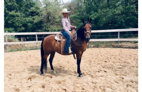 gîte La Longère bleue - Foto 19