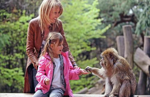 Holiday home with swimming pool - Foto 32