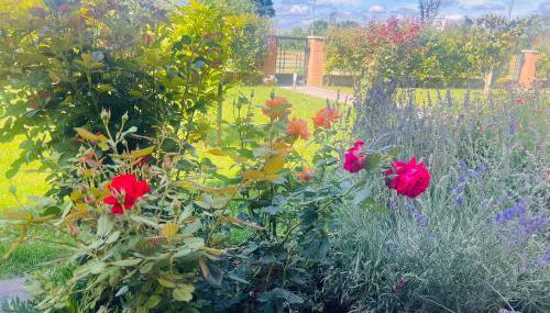 Casa delle More - Foto 2