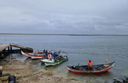 Casa das Camarinhas - Foto 26