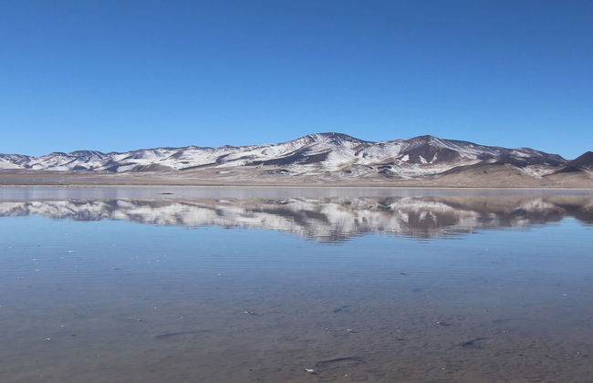 Day Trip to the Huasco Salt Flats + Tambillo - Photo 1