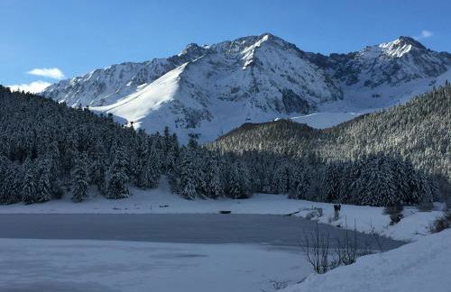 Gîte chaleureux au lac de Payolle - Foto 20