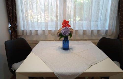 OLIVA 4 STARS - Photo 34