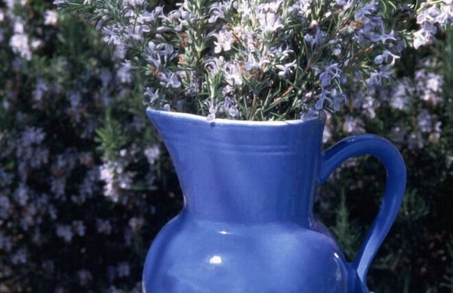 Verdidea - SOTTO COLLE - Foto 58