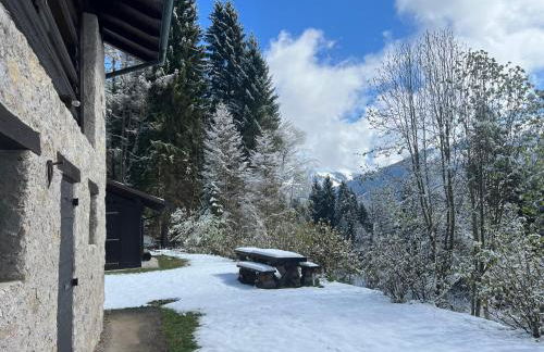 Maso Giulia - Foto 41