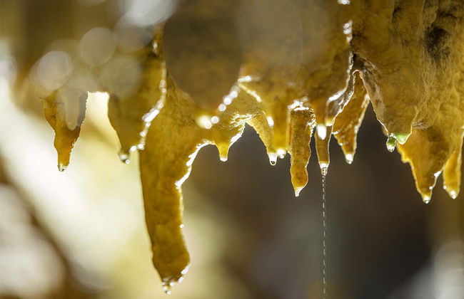 Cerdon Caves Ticket - Photo 7