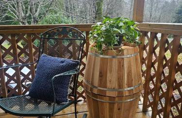 Secluded Forest Cabin Retreat Near Olympic Peninsula Coast | Near Sekiu, Washington - Foto 24