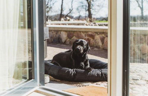 Gut Damp Ferien Lofts - Foto 50