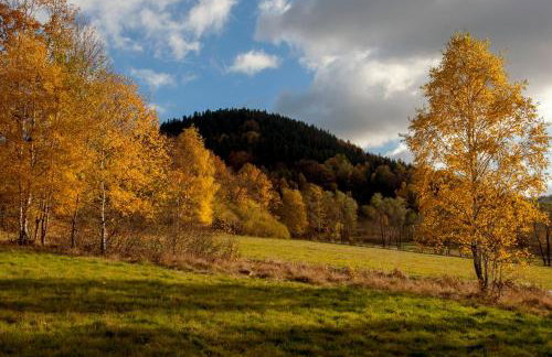 'chata usÓwek' - Foto 15