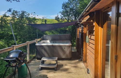 Swn Y Nant Lodge with hot tub Brecon - Foto 25