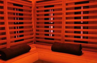 Jungle Room Strasbourg - Évasion Tropicale - Sauna Jacuzzi Balnéo - Foto 20