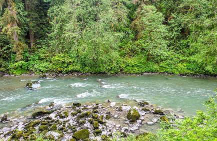 Luna's A-Frame - River & Spa - Foto 25